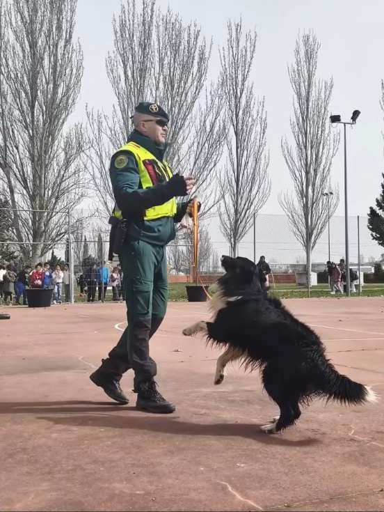 Guardia Civil
