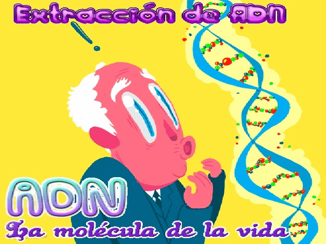 _ADN_