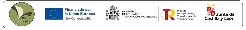 Logo web