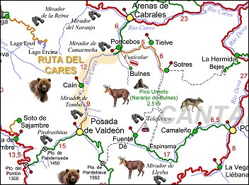 Ruta-Cares