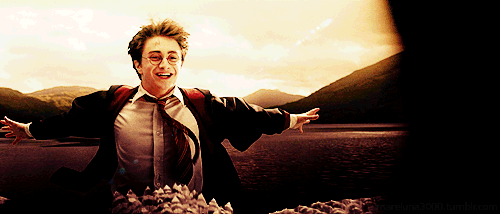 _Harry Potter